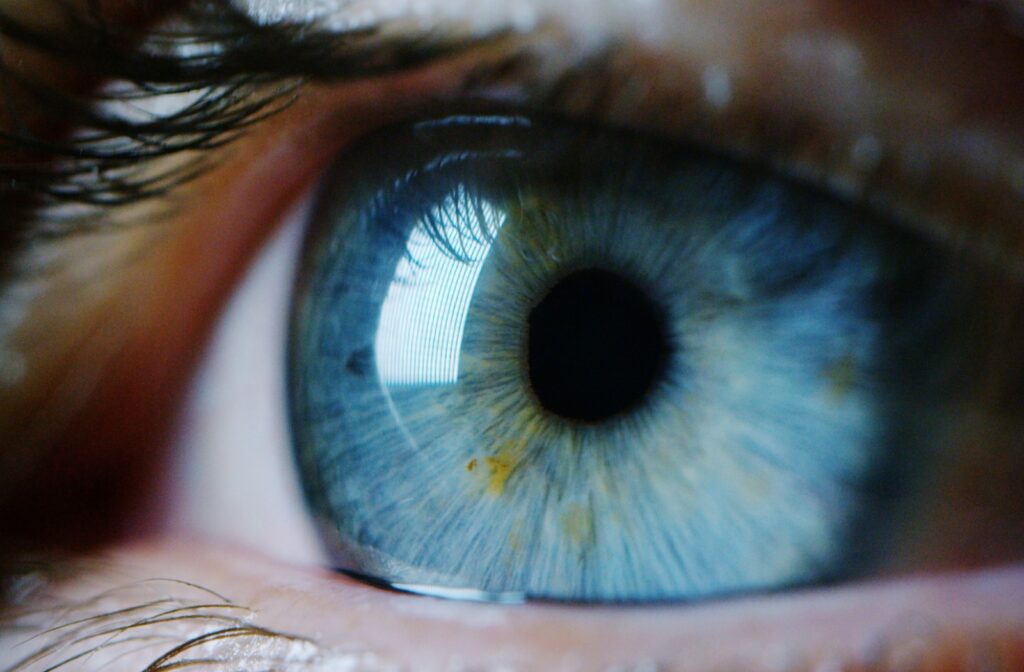 Extreme close-up of a blue eye looking into a light.